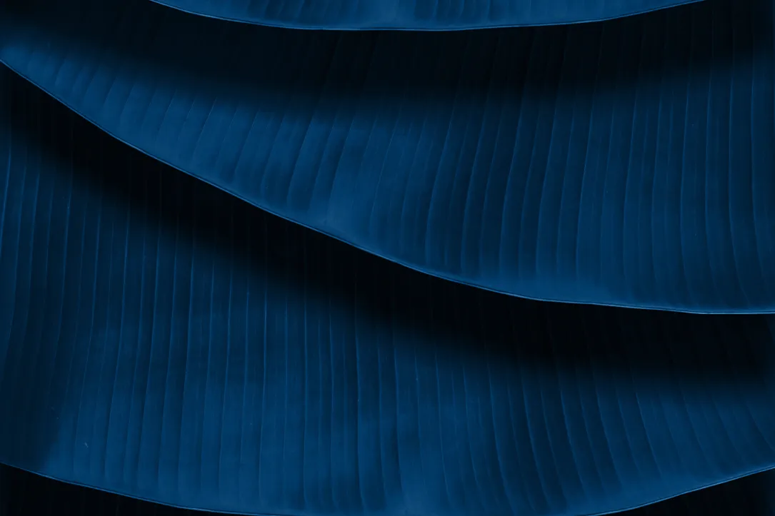 Community Remarketing